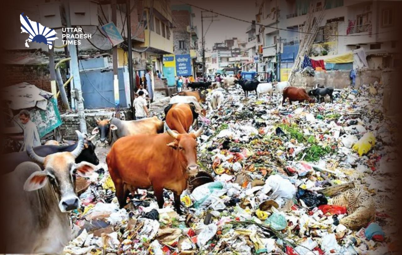 कहा-प्रधानमंत्री के संसदीय क्षेत्र में कूड़े का ढेर, क्या यही है 'स्वच्छ भारत' की तस्वीर