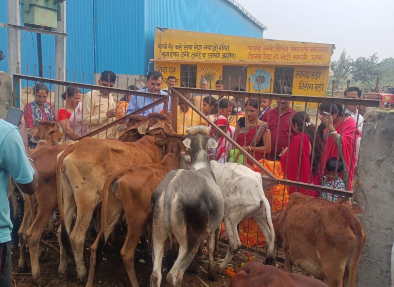 गोशालाओं में गोवंश को स्नान कराकर किया पूजन, गो आश्रय स्थलों को फूल मालाओं से सजाया