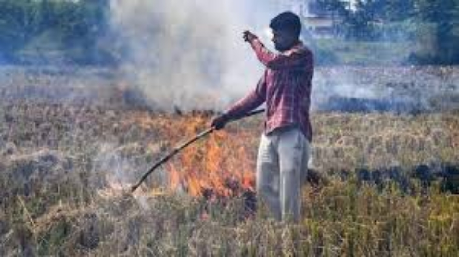 हरियाणा में जल रही पराली से पश्चिम यूपी की हवा हुई जहरीली