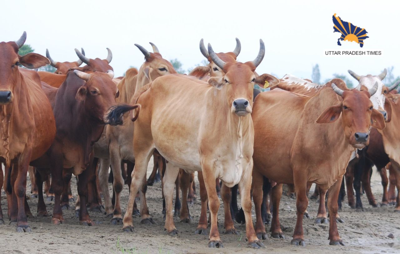 गौशाला और मत्स्यपालन के लिए होगा इस्तेमाल