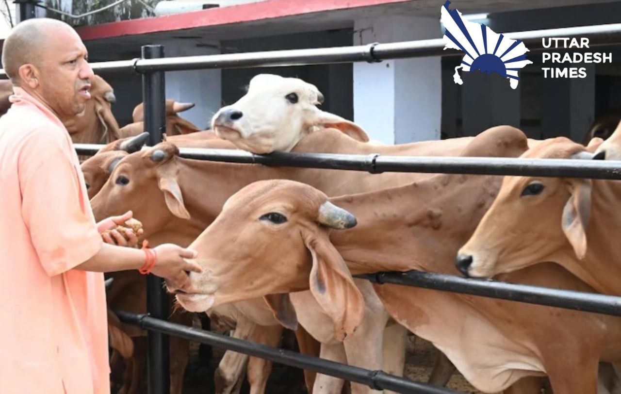 गौशालाओं में पूजी जाएंगी गोमाता, गाय के गोबर से बने उत्पादों के उपयोग पर जोर 