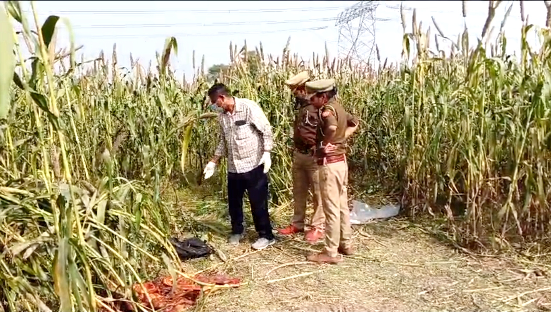 प्रेमी ने की थी प्रेमिका की गला काटकर हत्या... बाजरे के खेत में मिली थी सिर कटी लाश, पुलिस ने किया खुलासा 