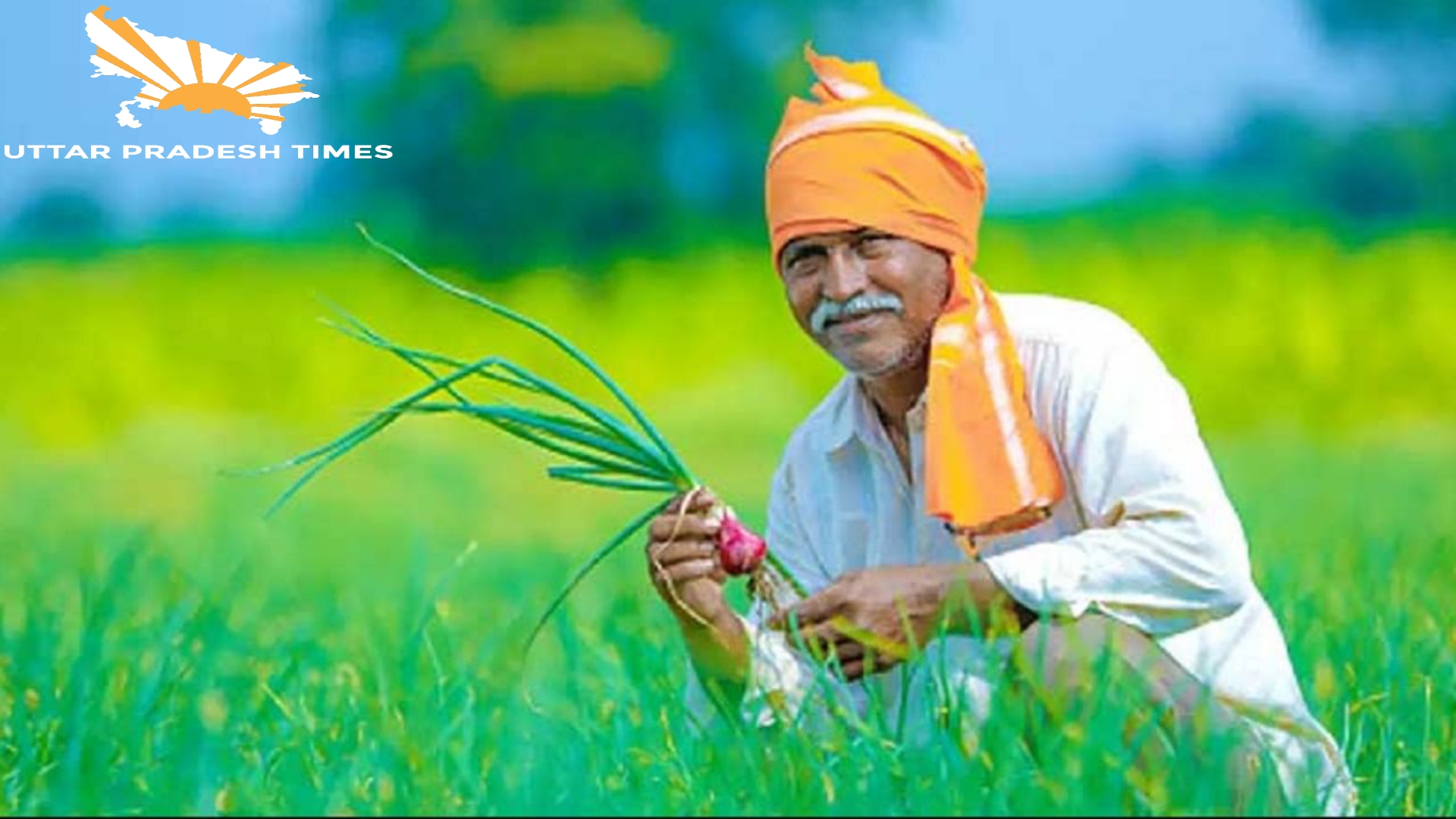 दिन में सर्वर नहीं आने से किसान परेशान... कड़ाके की ठंड में रात में लगाए जा रहे कैंप