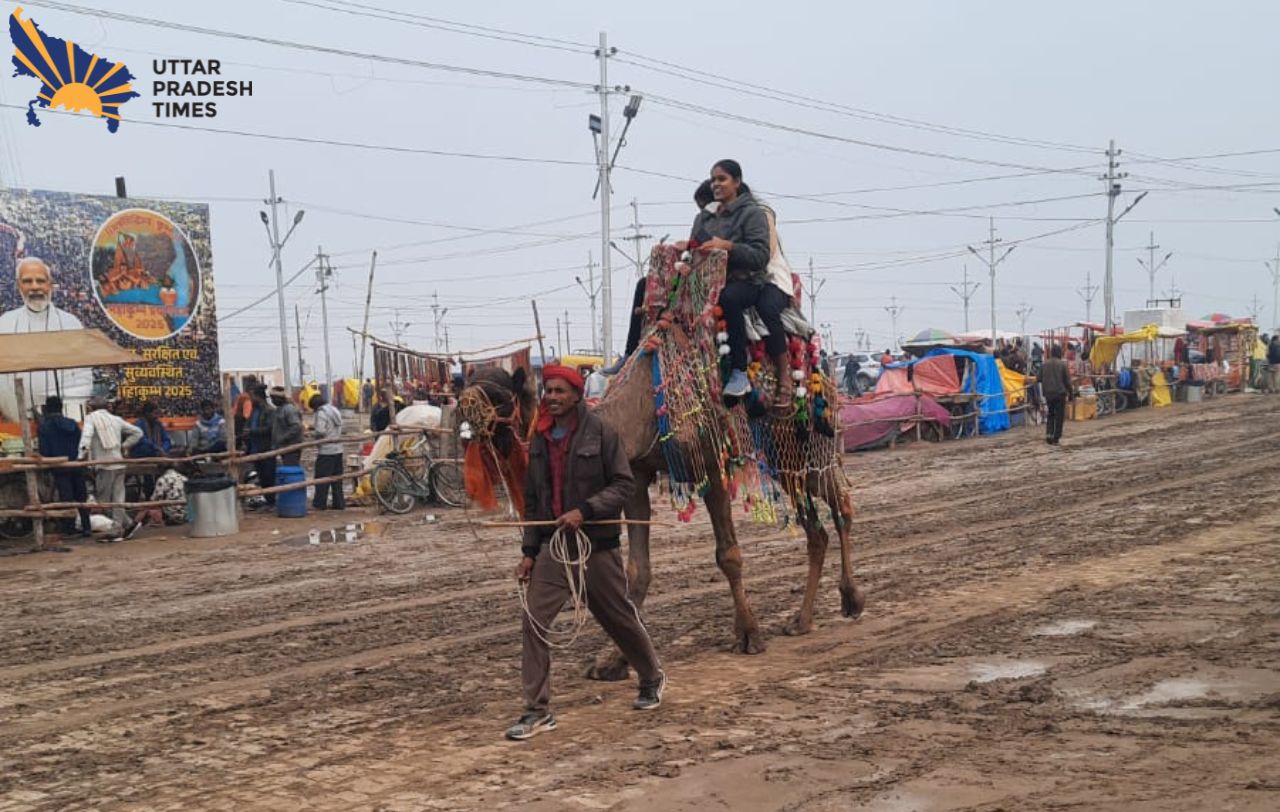 क्रिसमस की छुट्टियों में श्रद्धालुओं की बढ़ी भीड़ , ऊंट की सवारी बनी आकर्षण का केंद्र