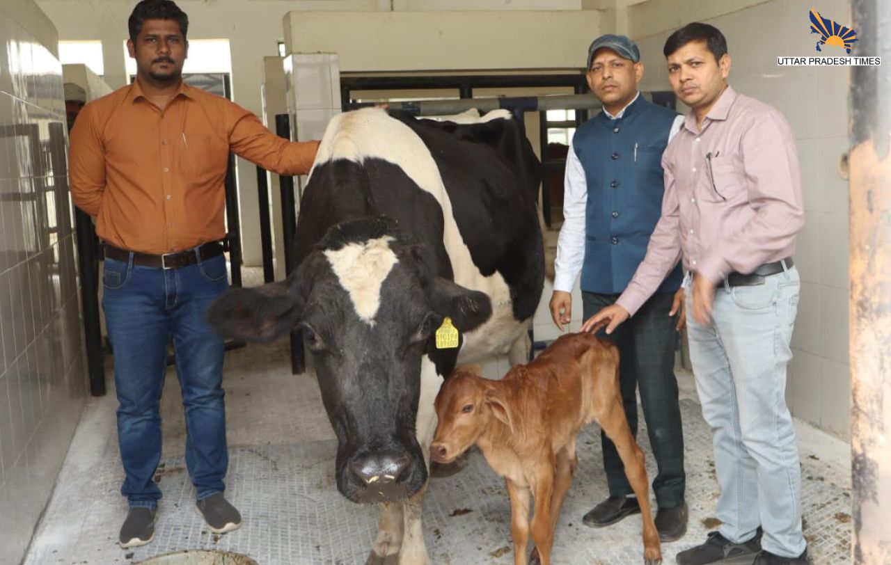 साहिवाल नस्ल के पहले भ्रूण प्रत्यारोपण का हुआ सफलता 