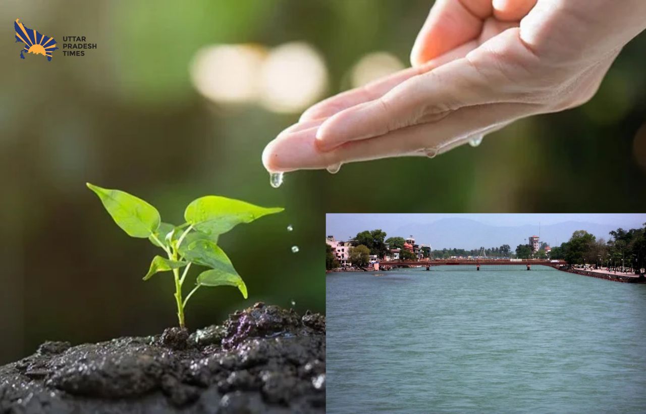 किसानों को मिलेगी रसायनमुक्त खेती की सौगात, सभी जिलों में विकसित होंगे गंगा वन